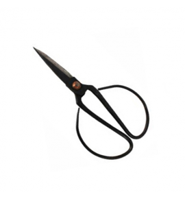 Black Steel Scissor