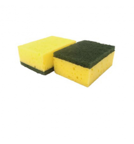 Scouring Sponge