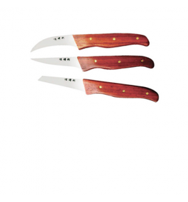 Carving Knife Set with Wooden Handle