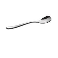 Bristol Ice Cream Spoon