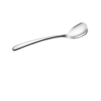 Samara Ice Cream Spoon
