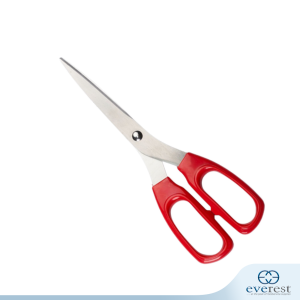 SCISSOR WITH PLASTIC HANDLE