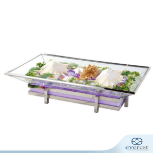 STAINLESS STEEL RECTANGLE ICE DISPLAY